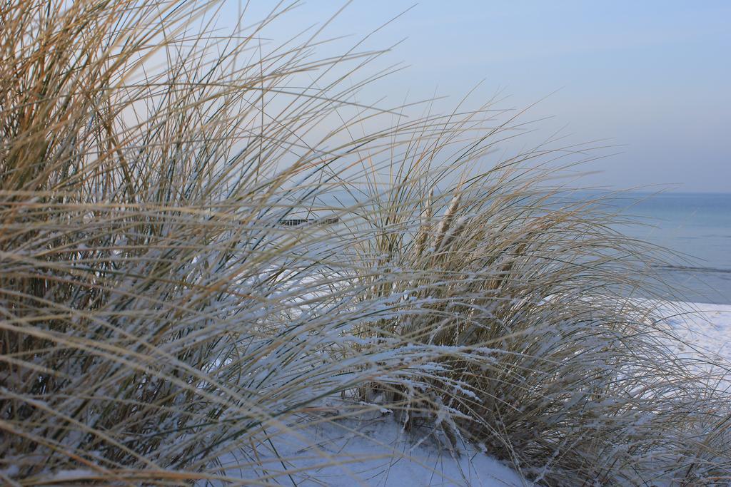 Appartmentanlage Zur Duene Insel Poel Room photo
